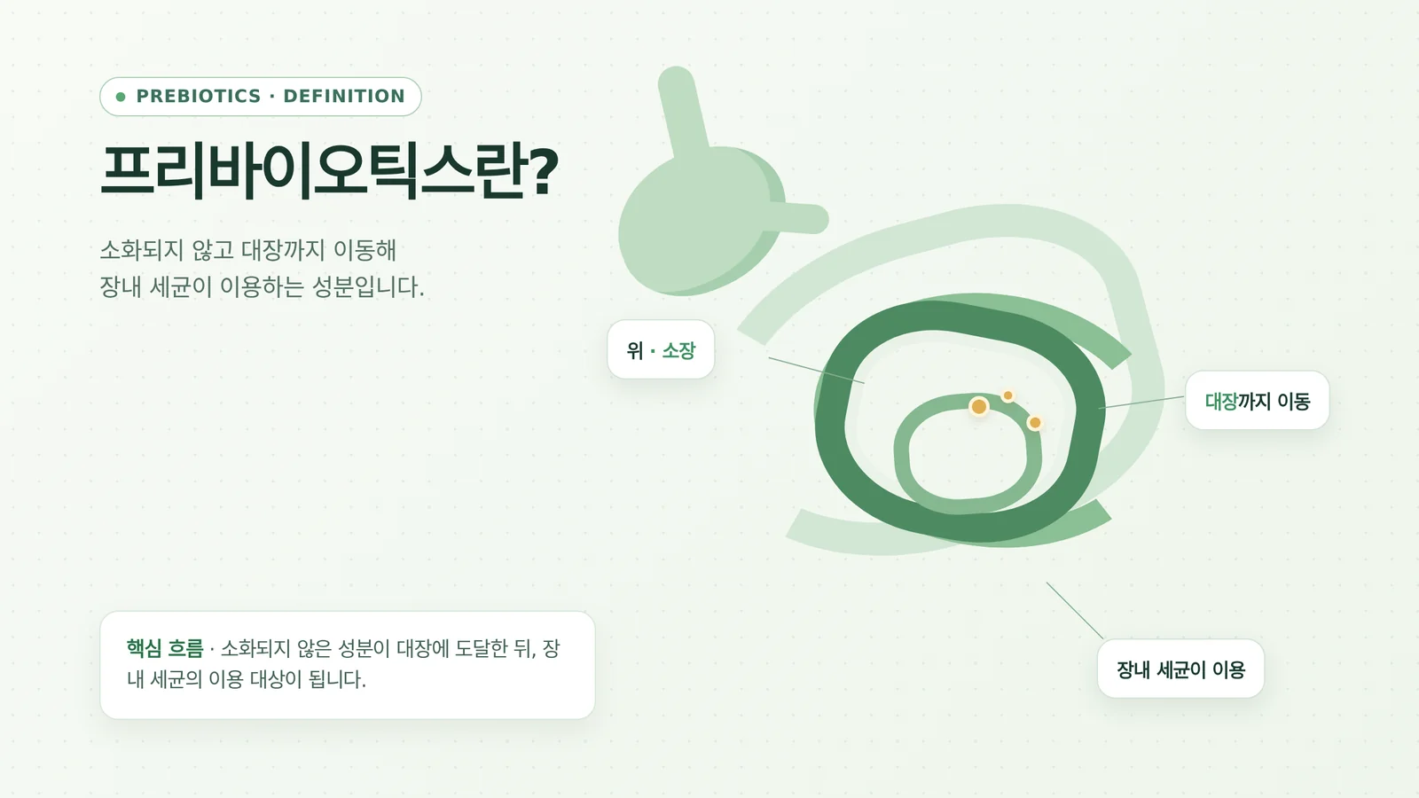 프리바이오틱스 원료 개념 설명 도해