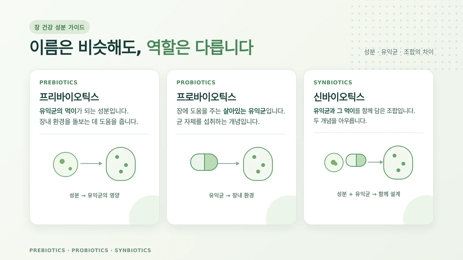 프리바이오틱스 종류 비교 도해